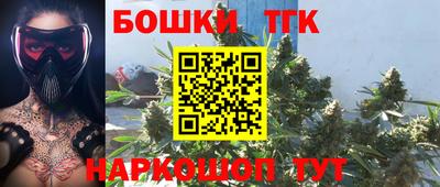 гашик Бузулук