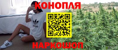 гашик Бузулук