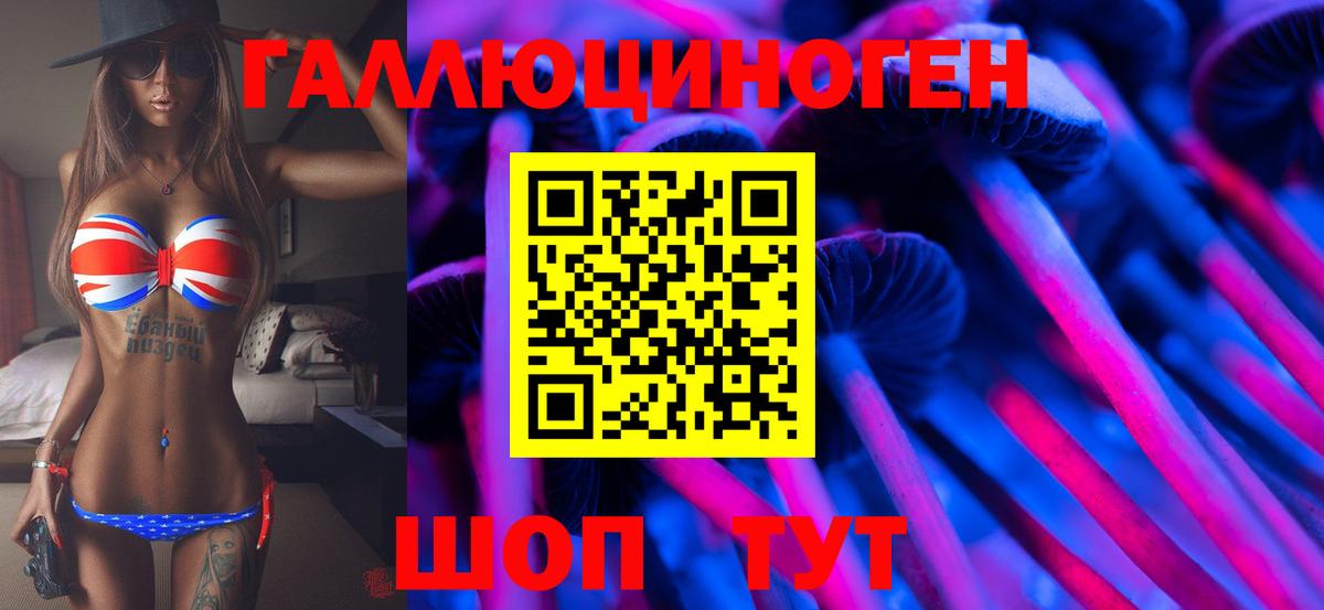 Галлюциногенные грибы Psilocybe Гагарин